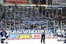 Eishockey, Herren, DEL, Saison 2021-2022, 05.11.2021