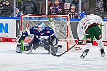 Eishockey, Herren, Penny DEL, 40. Spieltag, Saison 2023-2024, Straubing Tigers - Augsburger Panther,21.01.2024