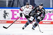 Eishockey, Herren, DEL, Saison 2020-2021, Straubing Tigers - Kölner Haie, 11.04.2021