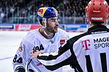 Eishockey, Herren, DEL, Saison 2022-2023, Hauptrunde, Straubing Tigers - EHC Red Bull München, 13. Spieltag, 21.10.2022