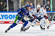 Eishockey, Men, DEL, Penny DEL, Hauptrunde Saison 2024-25, 8. Spieltag, Straubing Tigers - Adler Mannheim, 11.10.2024