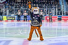 Eishockey, Herren, Penny DEL, 33. Spieltag, Saison 2023-2024, Straubing Tigers - Nürnberg Ice Tigers,30.12.2023