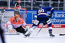 Eishockey, Herren, Penny DEL, DEL, Saison 2022-2023, Playoffs, Viertelfinale, Spiel 7, Straubing Tigers - Grizzlys Wolfsburg, 29.03.2023