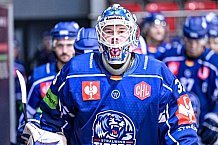 Eishockey, CHL, Champions Hockey League, 1. Spieltag, Saison 2022-2023, Gruppe F, Comarch Cracovia - Straubing Tigers, 01.09.2022