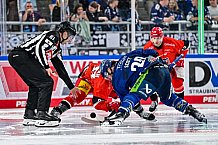 Eishockey, Herren, Penny DEL, Saison 2024-2024, Vorbereitung, Spiel um Platz 3 - Gäubodencup 2024, Straubing Tigers - Mountfield HK, 31.08.2024
