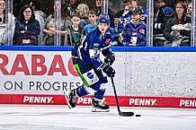 Eishockey, Herren, DEL, Penny DEL, Saison 2023-2024, Straubing Tigers, öffentliches Eistraining,06.08.2023