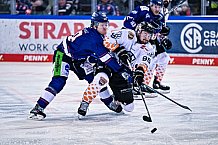 Eishockey, Herren, Penny DEL, DEL, Saison 2022-2023, Playoffs, Viertelfinale, Spiel 3, Straubing Tigers - Grizzlys Wolfsburg, 19.03.2023