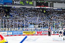 Eishockey, Men, DEL, Penny DEL, Hauptrunde Saison 2024-25, 4. Spieltag, Straubing Tigers - EHC Red Bull München, 29.09.2024