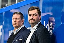 Eishockey, Herren, Penny DEL, 20. Spieltag, Saison 2023-2024, Straubing Tigers - Duesseldorfer EG,19.11.2023