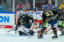 Eishockey, Herren, Penny DEL, 12. Spieltag, Saison 2023-2024, Straubing Tigers - Duesseldorfer EG,20.10.2023