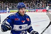 Eishockey, Herren, Penny DEL, 37. Spieltag, Saison 2023-2024, Straubing Tigers - Eisbären Berlin,12.01.2024