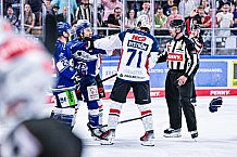 Eishockey, Herren, DEL, Penny DEL, Vorbereitung, Gäubodencup 2023, Saison 2023-2024, Straubing Tigers - Nürnberg Ice Tigers,18.08.2023