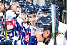 Eishockey, Men, CHL, Champions Hockey League, Regular Saison 2024-25, Game Day 4, Straubing Tigers - Dynamo Pardubice, 15.09.2024