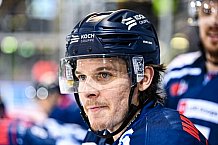 Eishockey, Herren, DEL, Saison 2021-2022, 05.11.2021