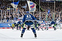 Eishockey, Herren, Penny DEL, Playoffs, Viertelfinale, Spiel 3, Saison 2023-2024, Straubing Tigers - Schwenninger Wild Wings,22.03.2024