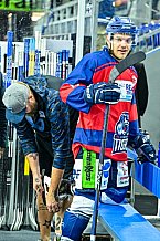 Eishockey, Herren, Penny DEL, 5. Spieltag, Saison 2023-2024, Straubing Tigers - EHC Red Bull Muenchen,29.09.2023