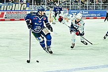 Eishockey, Men, DEL, Penny DEL, Hauptrunde Saison 2024-25, 8. Spieltag, Straubing Tigers - Adler Mannheim, 11.10.2024