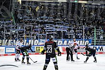 Eishockey, Herren, DEL, Saison 2021-2022, 19.10.2021