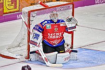 Herren, Eishockey, Oberliga-Süd, Saison 2022-2023, Deggendorfer SC - ECDC Memmingen Indians, 8. Spieltag,  23.10.2022