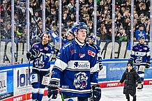 Eishockey, Herren, Penny DEL, 42. Spieltag, Saison 2023-2024, Straubing Tigers - Ingolstadt Panther,28.01.2024
