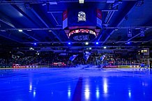 Eishockey, Men, CHL, Champions Hockey League, Regular Saison 2024-25, Game Day 1, Straubing Tigers - SonderjyskE Vojens, 06.09.2024