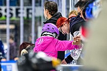 Eishockey, Men, DEL, Penny DEL,  Straubing Tigers - Kids on Ice, 28.09.2024