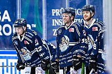 Eishockey, Herren, DEL, Saison 2020-2021, Straubing Tigers - Düsseldorfer EG, 04.04.2021