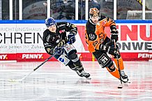 Eishockey, Herren, Penny DEL, 52. Spieltag, Saison 2023-2024, Straubing Tigers - Grizzlys Wolfsburg,08.03.2024
