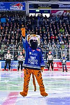 Eishockey, Herren, Penny DEL, Playoffs, Viertelfinale, Spiel 7, Saison 2023-2024, Straubing Tigers - Schwenninger Wild Wings,30.03.2024
