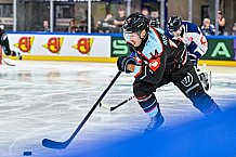 Eishockey, Men, CHL, Champions Hockey League, Regular Saison 2024-25, Game Day 1, Straubing Tigers - SonderjyskE Vojens, 06.09.2024