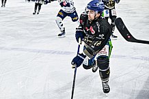 Eishockey, Herren, Penny DEL, 36. Spieltag, Saison 2023-2024, Straubing Tigers - Iserlohn Roosters,07.01.2024