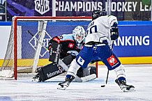 Eishockey, Men, CHL, Champions Hockey League, Regular Saison 2024-25, Game Day 1, Straubing Tigers - SonderjyskE Vojens, 06.09.2024
