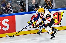 Eishockey, Men, CHL, Champions Hockey League, Regular Saison 2024-25, Game Day 2, Straubing Tigers - Skelleftea AIK, 08.09.2024