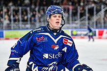 Eishockey, Men, DEL, Penny DEL, Hauptrunde Saison 2024-25, 5. Spieltag, Straubing Tigers - Eisbären Berlin, 01.10.2024