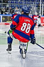 Eishockey, Herren, Penny DEL, 29. Spieltag, Saison 2023-2024, Straubing Tigers - Schwenninger Wild Wings,21.12.2023