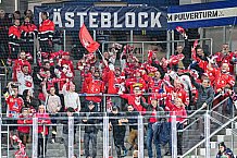 Eishockey, Men, CHL, Champions Hockey League, Regular Saison 2024-25, Game Day 4, Straubing Tigers - Dynamo Pardubice, 15.09.2024