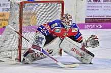 Herren, Eishockey, Oberliga-Süd, Saison 2022-2023, DEB, Deggendorfer SC - Höchstadt Alligators, 35. Spieltag,  08.01.2023