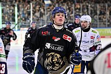 Eishockey, Herren, Penny DEL, 50. Spieltag, Saison 2023-2024, Straubing Tigers - Eisbären Berlin,01.03.2024