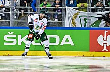 Eishockey, CHL, Champions Hockey League, 4. Spieltag, Saison 2022-2023, Gruppe F, Straubing Tigers - Färjestad BK Karlstad, 11.09.2022