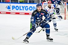 Eishockey, Herren, Penny DEL, Playoffs, Viertelfinale, Spiel 3, Saison 2023-2024, Straubing Tigers - Schwenninger Wild Wings,22.03.2024