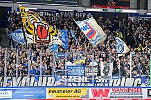 Eishockey, Men, DEL, Penny DEL, Hauptrunde Saison 2024-25, 1. Spieltag, Straubing Tigers - Düsseldorfer EG, 20.09.2024