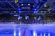 Eishockey, Herren, Penny DEL, Playoffs, Viertelfinale, Spiel 3, Saison 2023-2024, Straubing Tigers - Schwenninger Wild Wings,22.03.2024