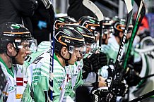Eishockey, Herren, DEL, Saison 2021-2022, 01.10.2021