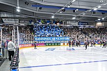 Eishockey, Men, CHL, Champions Hockey League, Regular Saison 2024-25, Game Day 1, Straubing Tigers - SonderjyskE Vojens, 06.09.2024