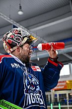 Eishockey, Herren, DEL, Saison 2021-2022, Playoff, Viertelfinale, Spiel 3, Straubing Tigers - Adler Mannheim, 14.04.2022