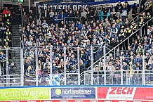 Eishockey, Men, DEL, Penny DEL, Hauptrunde Saison 2024-25, 4. Spieltag, Straubing Tigers - EHC Red Bull München, 29.09.2024