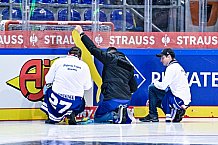 Eishockey, Herren, CHL, Champions Hockey League, Saison 2022-2023, Achtelfinale, Straubing Tigers - Frölunda HC Göteborg, Rückspiel, 22.11.2022