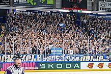 Eishockey, Men, CHL, Champions Hockey League, Regular Saison 2024-25, Game Day 1, Straubing Tigers - SonderjyskE Vojens, 06.09.2024