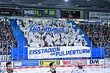 Eishockey, Herren, Penny DEL, DEL, Saison 2022-2023, Hauptrunde, Straubing Tigers - Kölner Haie, 57. Spieltag, 26.02.2023