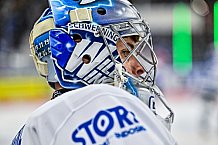 Eishockey, Herren, Penny DEL, 29. Spieltag, Saison 2023-2024, Straubing Tigers - Schwenninger Wild Wings,21.12.2023